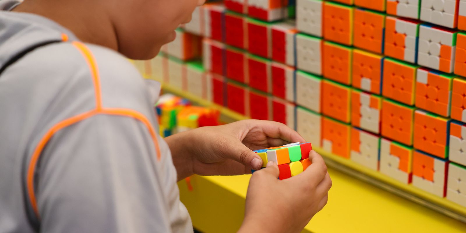 Censo da Educação Básica 2026 inicia sua primeira fase