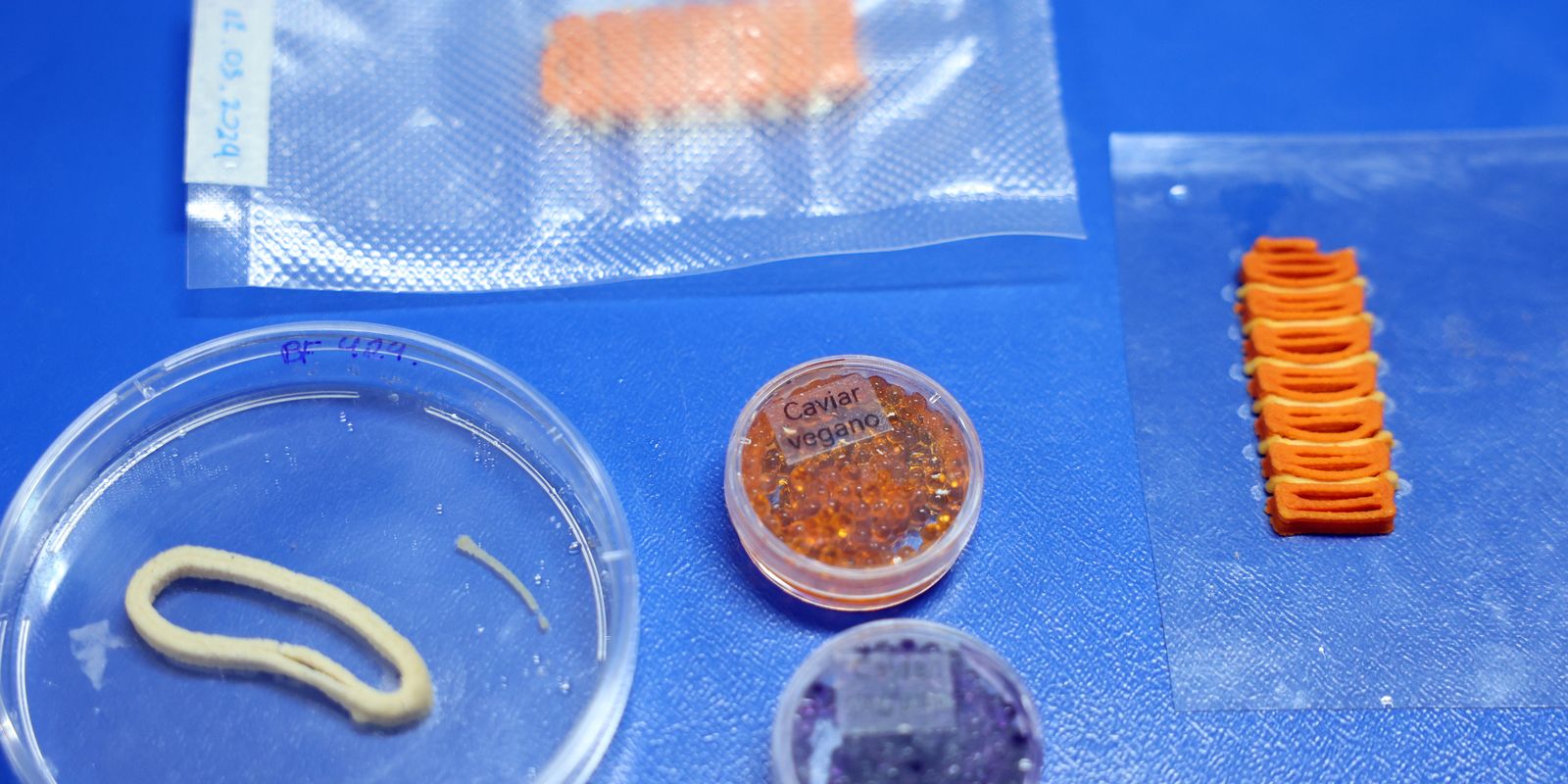 Embrapa desenvolve em laboratório versões veganas de salmão, caviar e lula