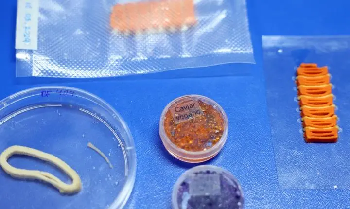 Embrapa desenvolve em laboratório versões veganas de salmão, caviar e lula